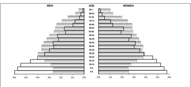 Figure 7.  Portuguese Demographic Age Structure (1900 – 2001) 