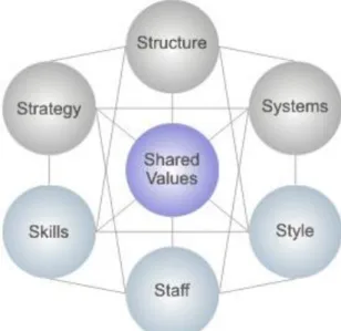 Figure  1 – McKinsey 7 S framework 