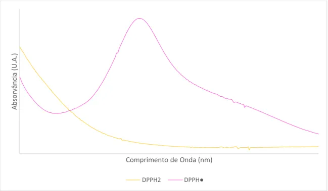 Figura 14: Espectros de Absorção UV-Visível da monitorização do método de DPPH• e da sua reacção com um antioxidante