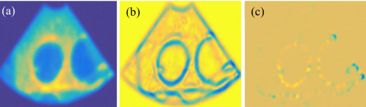 Figure 2-1: Representation of different image potentials: (a) - Line potential; (b) - Edge potential; (c) - Termination  potential