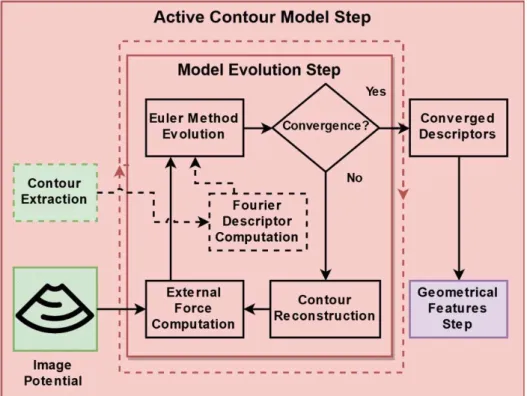 Figure 3-5: Scheme representing the organization of the active contour model step. 