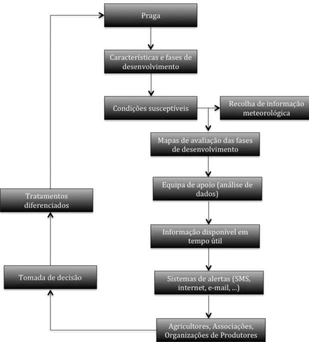 Figura 11 – Ciclo de agricultura de precisão. 