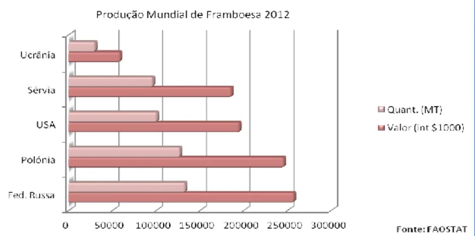 Figura 22- Mapa de Produção de Framboesa 