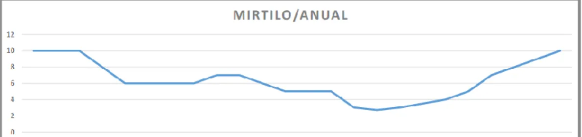 Figura 13 - Caixa de mirtilos a granel 