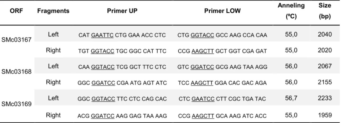 Table 4.2. Primers used to amplify the flanking regions of the SMc03167, SMc03168 and SMc03169 ORFs