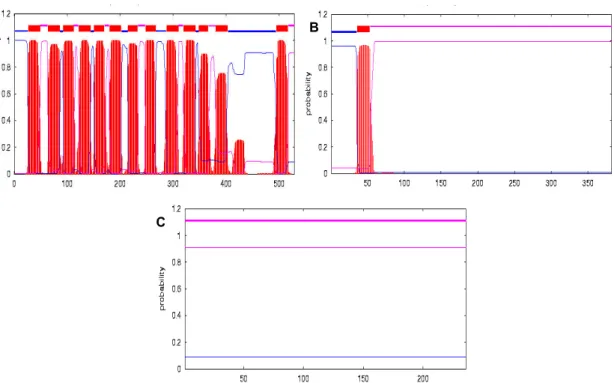 Fig.  5.3  -  Predicted  number  of  transmembrane  helices  of  SMc03167  (A),  SMc03168  (B)  and  SMc03169  (C),  using  the  TMHMM software from www.expasy.ch.