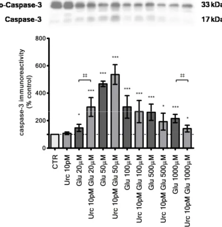 Figure  4.5  –  Caspase-3  immunoreactivity 