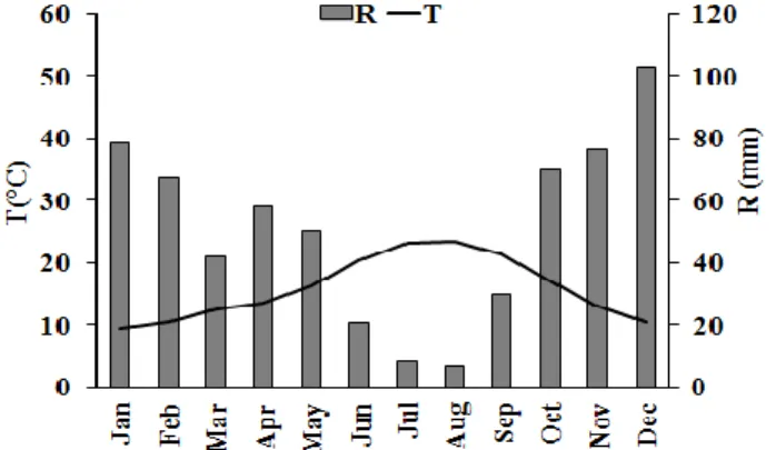 Figure 1. Climatological normals (CN) for 1971 – 2000 (T: average air temperature and R: total  rainfall) for the study area