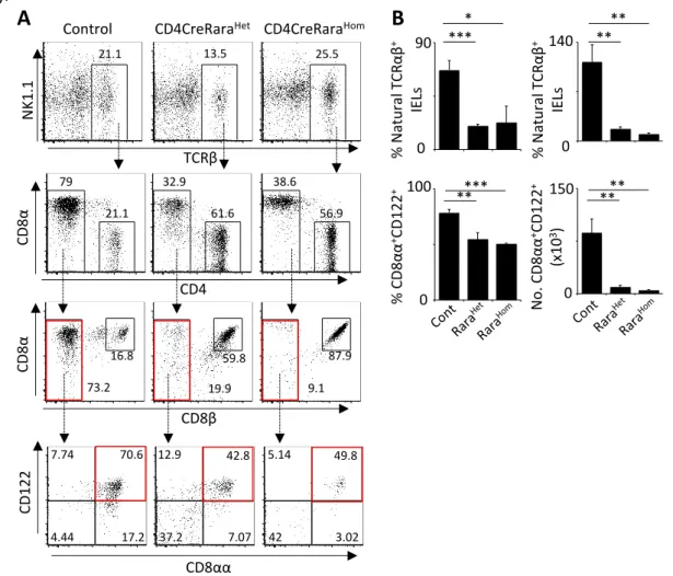 Figure 5: RA signaling controls enteric natural TCRαβ IEL in adulthood. Intraepithelial lymphocytes  (IEL)  were  obtained  from  guts  of  6  to  8  weeks  old  CD4CreRara  and  their  WT  littermate  controls