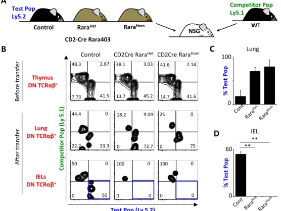 Figure  8: Intraepithelial  compartment  colonization  by  thymic  natural  TCRαβ +  precursors  is  controlled  by  RA  signaling