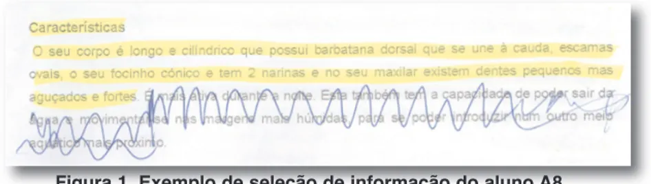 Figura 1. Exemplo de seleção de informação do aluno A8