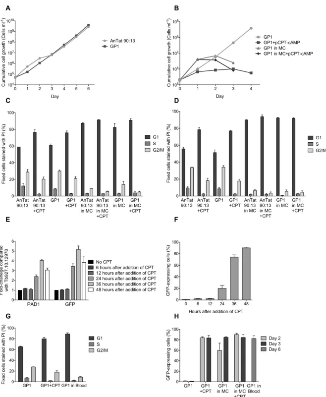 Figure 3: In vitro differentiation to stumpy forms: cell cycle profile and GFP expression