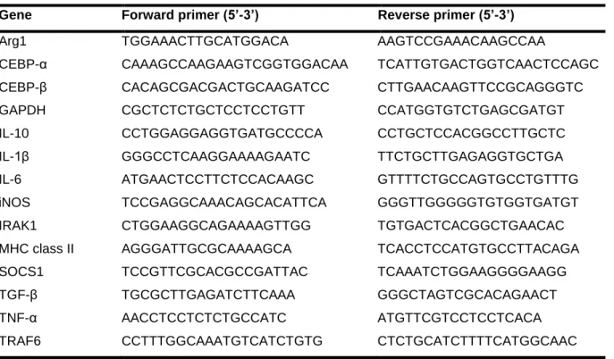 Table II.1 | Sequences used as primers for detection of mRNA expression in CHME3 microglia  Gene  Forward primer (5’-3’)  Reverse primer (5’-3’) 