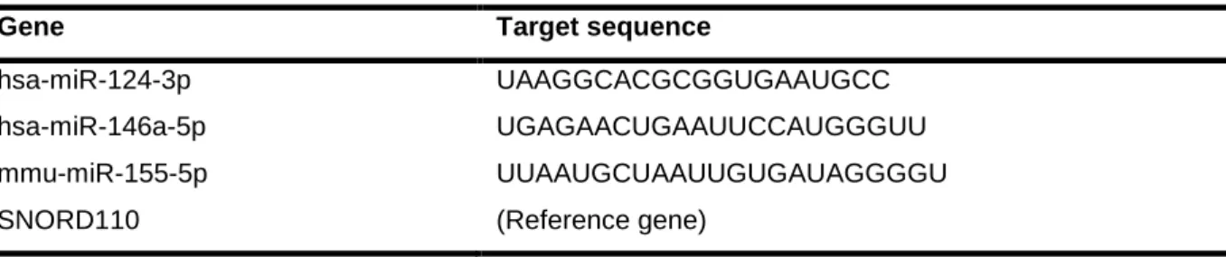 Table II.2 | Target sequences of predesigned primers used for detection of miRNAs expression in CHME3 microglia 