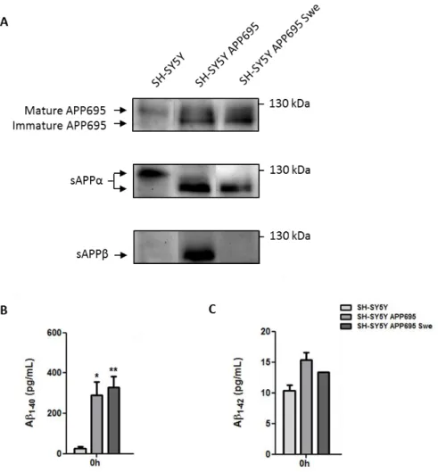 Figure  III.1  |  APP  expression,  and  sAPPα, sAPPβ and  Aβ secretion by neuroblastoma cells