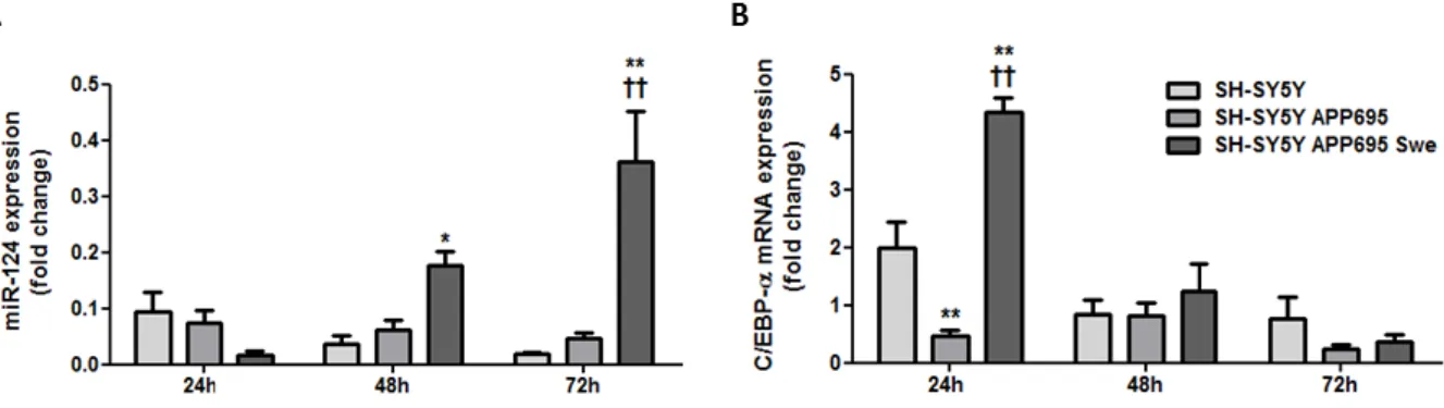 Figure  III.3  | Expression  of  miR-124  gradually  increases  in  CHME3 microglia when  co-cultured with  SH-SY5Y  APP695  Swe  cells,  whereas  the  mRNA  expression  of  C/EBP-α  decays  over  time