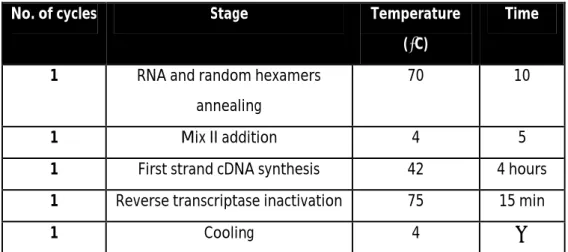 Table 1 – Conditions for cDNA synthesis. 