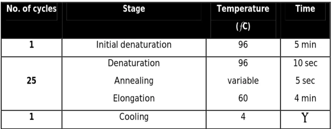 Table 3. Program used for sequencing reaction. 