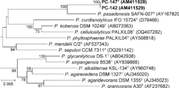 Table 2. Fatty acid methyl ester compositions of strains PC-142 and PC-147 T and P. pasadenensis NBRC 101214 T