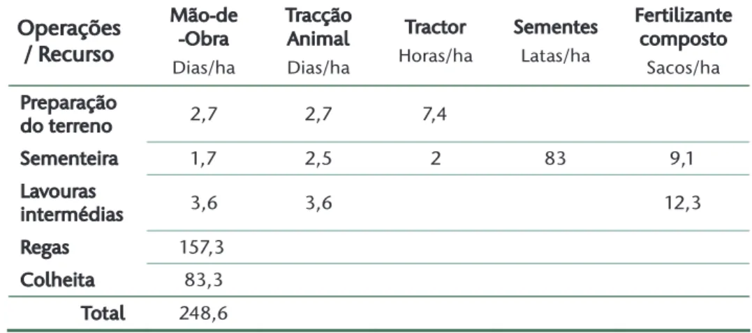 Tabela 6 – Coeficientes técnicos da cultura da cenoura (valores médios por operação)