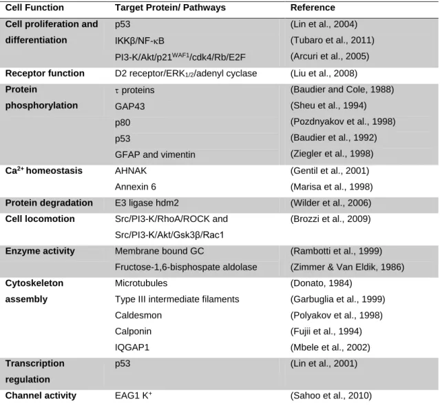 Table I. 1 – S100B intracellular main target proteins and respective functions . 