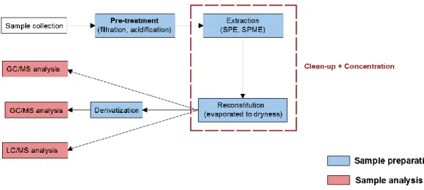 Figure 4. Overview of the main sample preparation and analysis steps (Adapted from ref