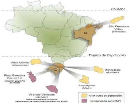 FIGURA 4.1. Vitivinicultura brasileira e certificação da qualidade 