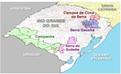 FIGURA 1.2. Mapa vitivinícola do Rio Grande do Sul 