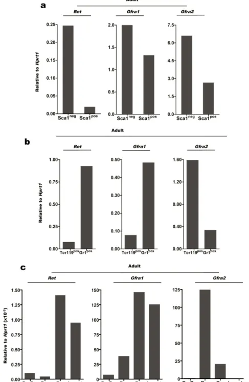 Figure  3.  Expression  of  Ret  and  Gfra  co‐receptors  in  adult  bone  marrow.  a.  Expression  of  mRNA  measured  by    Quantitative  RT‐PCR  for  Ret,  Gfra1  and  Gfra2  in  lin neg cKit pos Sca1 pos  (Sca1 pos )  and  lin neg cKit pos Sca1 neg   (