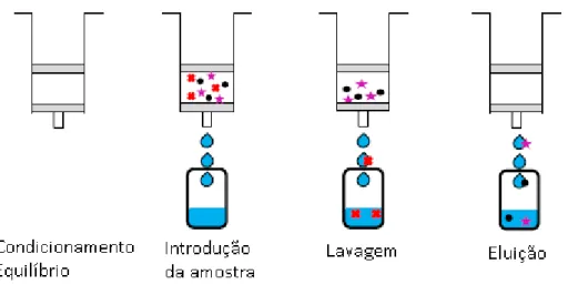 Figura 7 – Etapas da técnica de extração em fase sólida (SPE) 