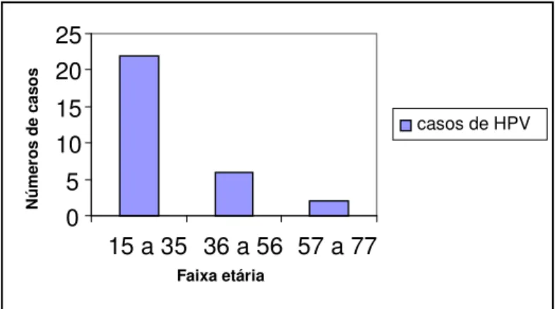 Gráfico  1:  Perfil  de  mulheres  portadoras  de  HPV,  de  acordo  com  a  faixa  etária,  numa  ESF  em  um  Município do interior de Goiás, 2008