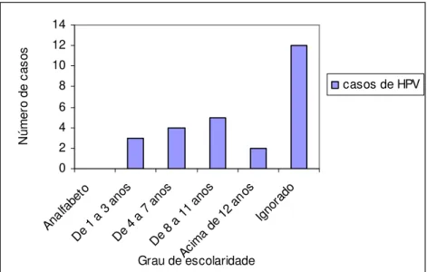 Gráfico  3:  Perfil  das  mulheres  portadoras  de  HPV,  de  acordo  com  a  escolaridade  em  anos  de  estudos  concluídos, numa ESF em um Município do interior de Goiás, 2008