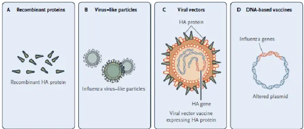 Figure 1.1 - New generation of influenza vaccines. (A) Recombinant proteins, (B) Virus-like particles (VLP),  (C) Viral vectors, (D) DNA-based vaccines
