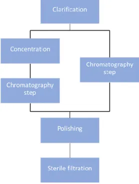 Figure 1.2 – Downstream process train evaluated for influenza VLPs. 