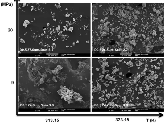 Figure  5|  SEM micrographs at 200x magnification  and mean particle size  of Gelucire 50/13™ 