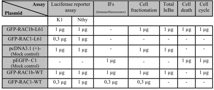 Table III.1.  Description of plasmid amounts used in each assay, for each cell line. 