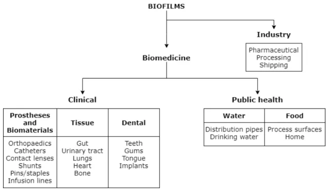 Figure 2.2: Different medical environments where biofilm presence is usual. Adapted from: [12]
