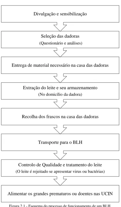 Figura 2.1 - Esquema do processo de funcionamento de um BLH. 