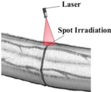 Figure 1. Schematics of laser welding of a nervous tissue [40]. 