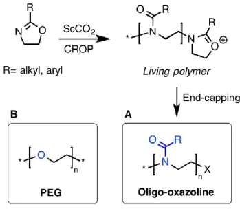 Figure 1.1 - Synthesis of oligo-oxazolines in supercritical carbon dioxide (A), and comparison of its  molecular structure with poly(ethylene glycol) (PEG) (B)