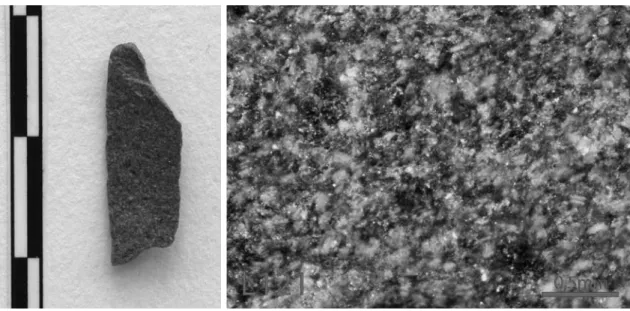Fig. 9   Fotografia de exemplar representativo do grupo dos riolitos filonianos (esquerda) e fotografia do mesmo exemplar  observado à lupa (direita).