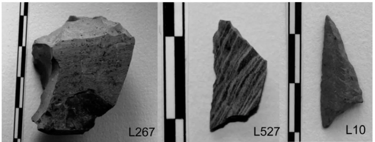 Fig. 4   Fotografias de exemplares representativos dos contextos vulcano‑sedimentares, nomeadamente subgrupo (i) (L267), (ii)  (L567) e (iii) (L10)