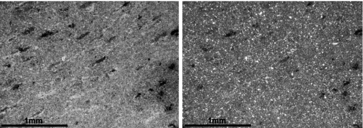 Fig. 5   Fotografias ao microscópio petrográfico em nicóis paralelos (esquerda) e nicóis cruzados (direita) da amostra LJ8.02  (Vulcano‑sedimentares).