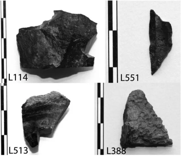 Fig. 6   Fotografias de exemplares representativos do grupo dos metaliditos, utensílios L513 e L388 com córtex.