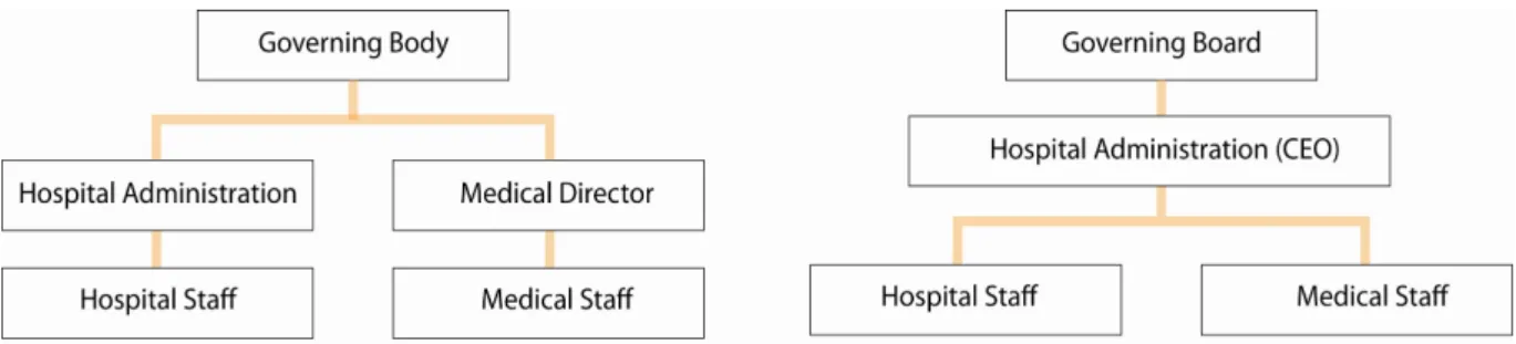Figura 9 - Modelo antigo de Estrutura  organizacional: O Duopólio