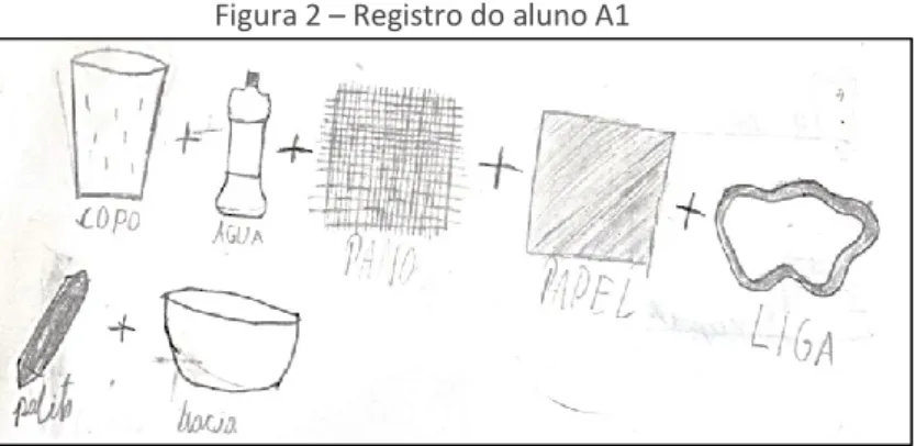 Figura 2 – Registro do aluno A1 