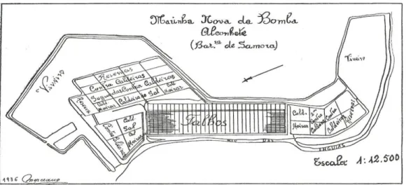 Figura I. Desenho de uma marinha na margem esquerda do Tejo - Alcochete 346