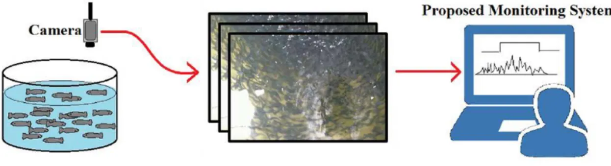 Figura 19 - Esquema representativo do sistema de análise comportamental de peixes desenvolvido [26] 