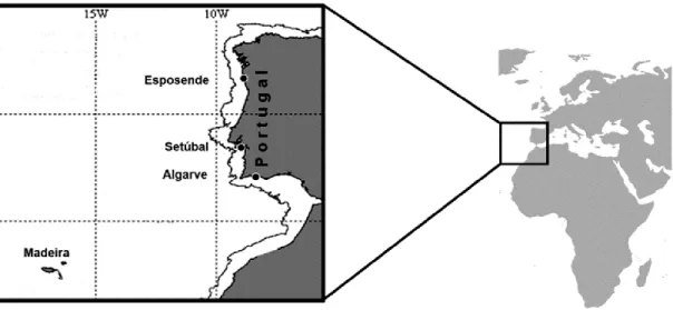 Table 1. Details of Sarpa salpa individuals analyzed in each study area. 
