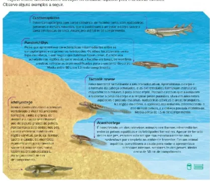 Figura 6 - Representação da transição do ambiente aquático para o ambiente terrestre 